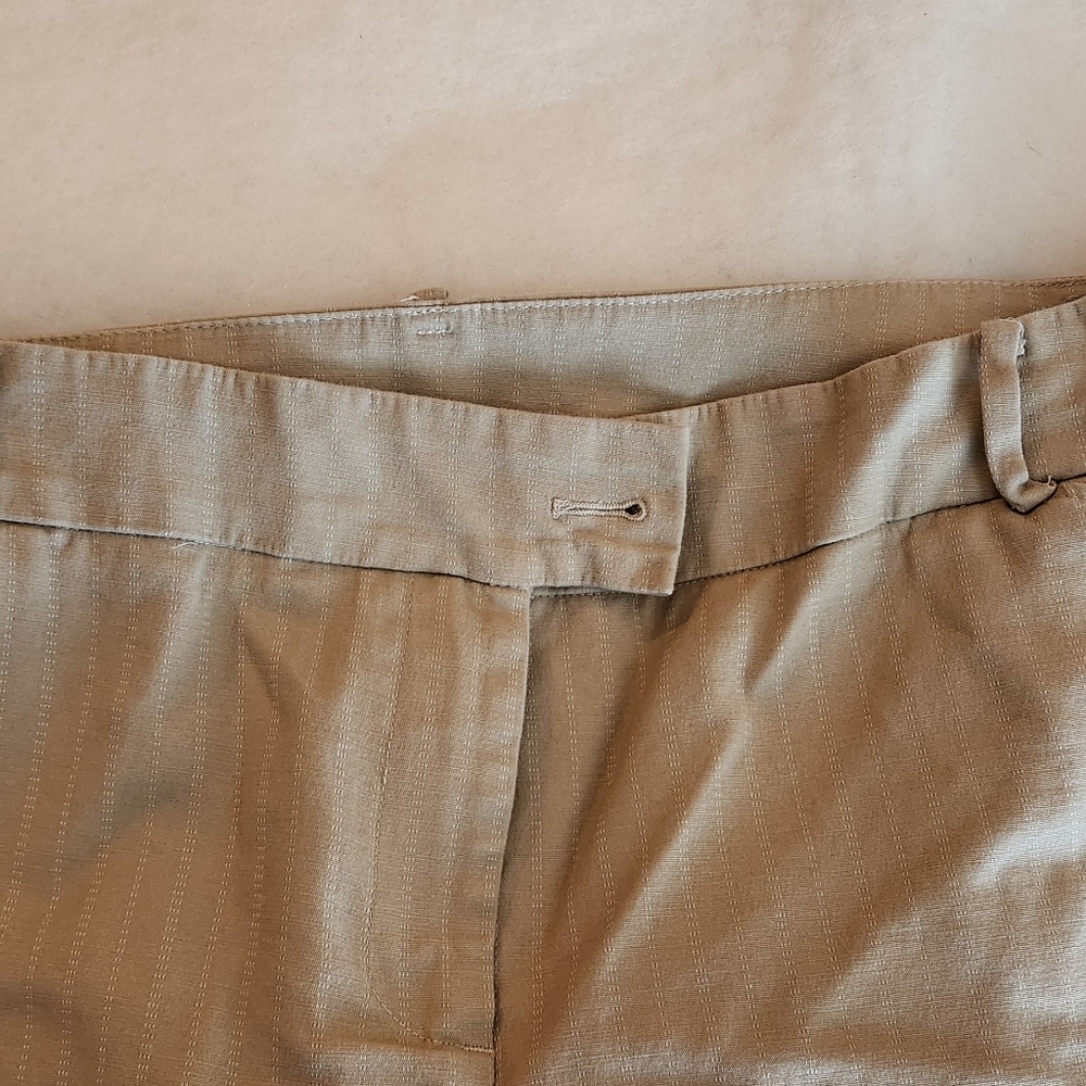 Lane Bryant Beige Pinstripe Trousers - Picture 9 of 12